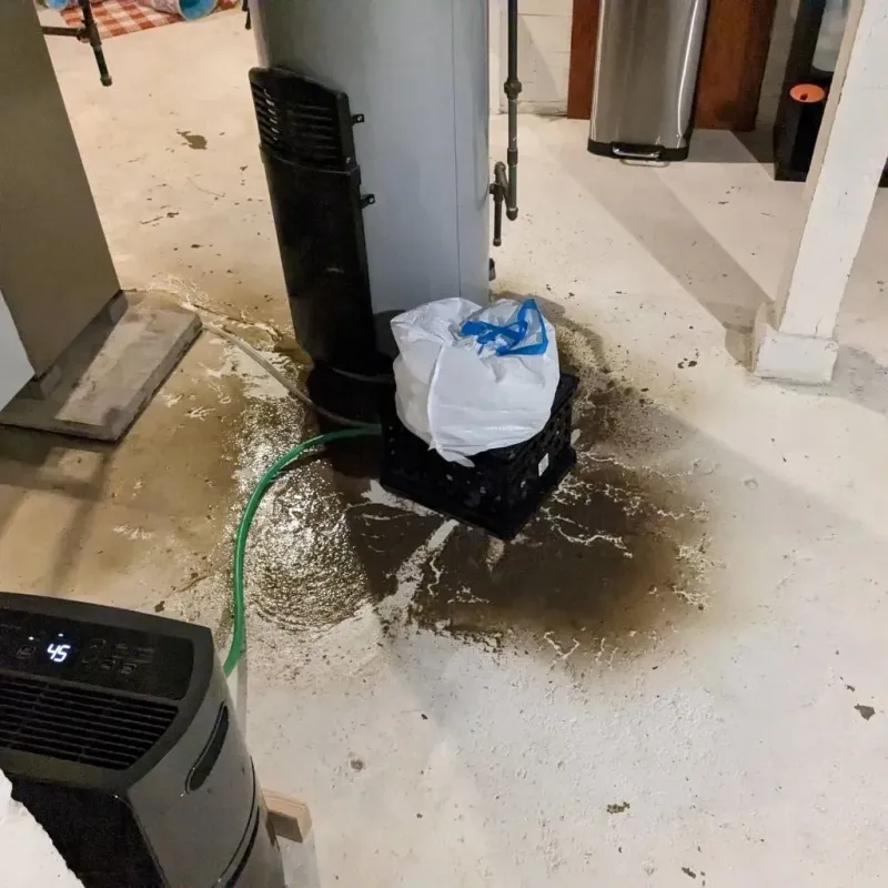 Sewage Backup Cleanup Service in Lusby, MD